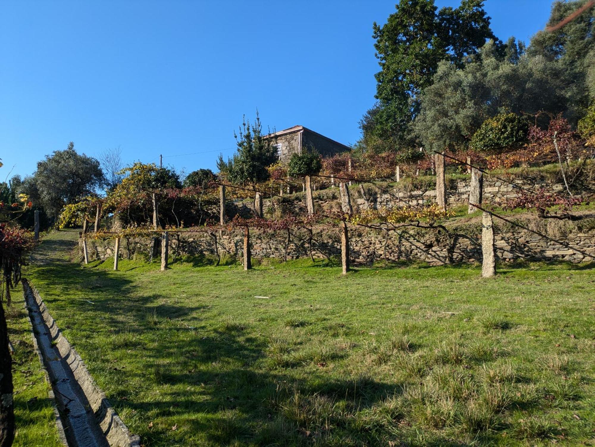 Casa Do Valo Villa Amonde Kültér fotó