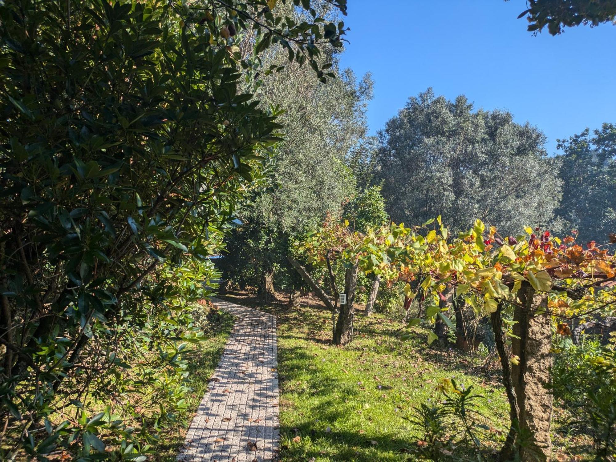 Casa Do Valo Villa Amonde Kültér fotó